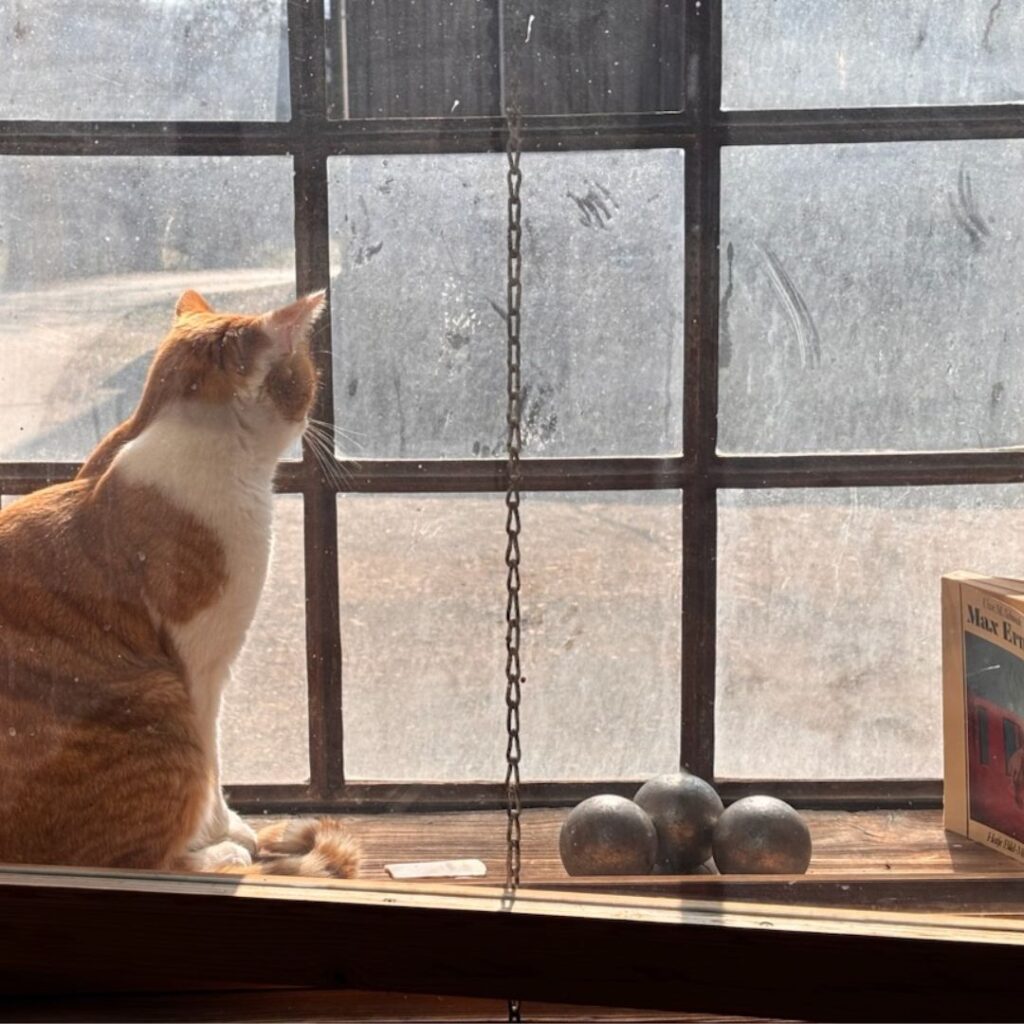 Cosima Pitz - Mood Talk - Objects and Sounds