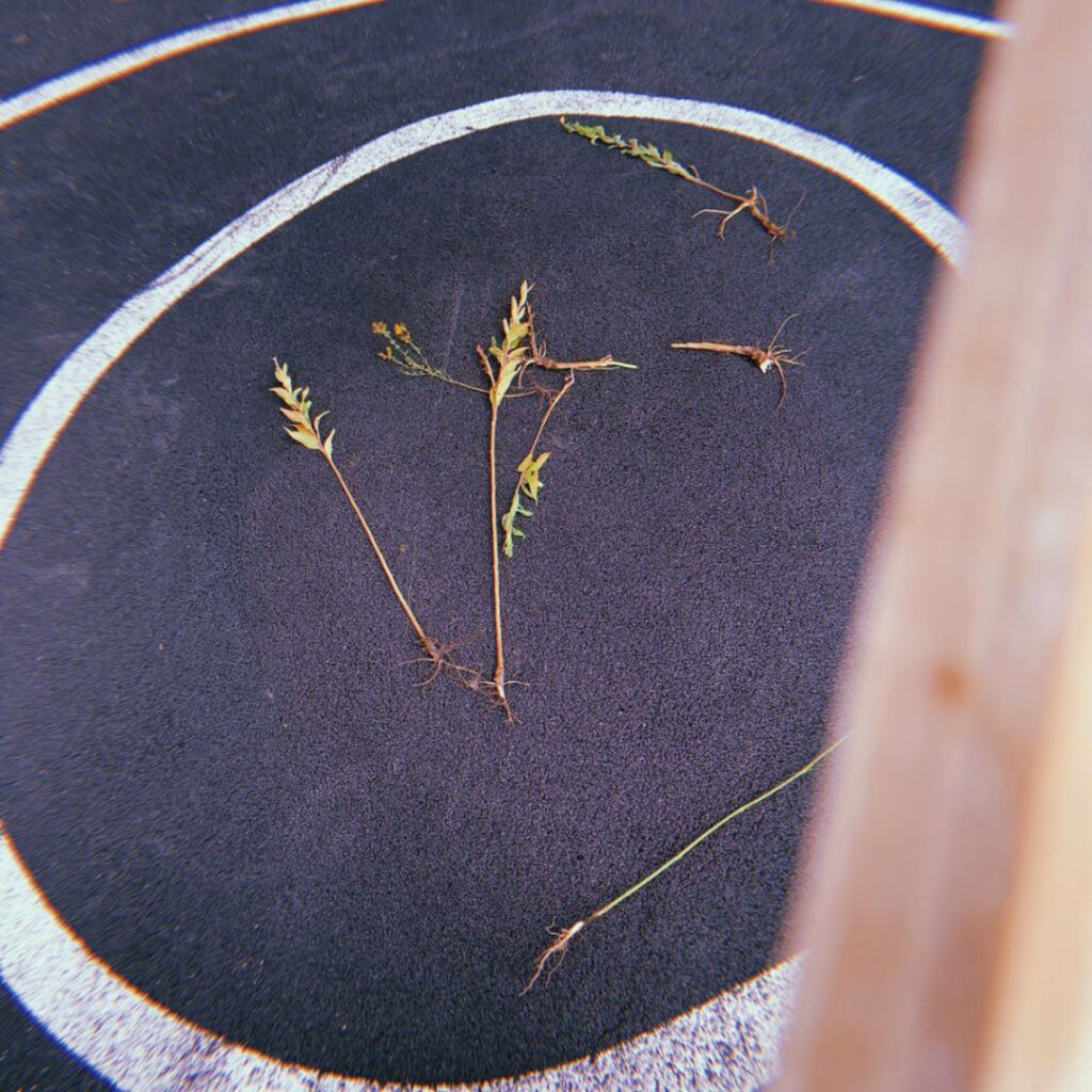 Museum Of No Art - Mood Talk - Objects and Sounds